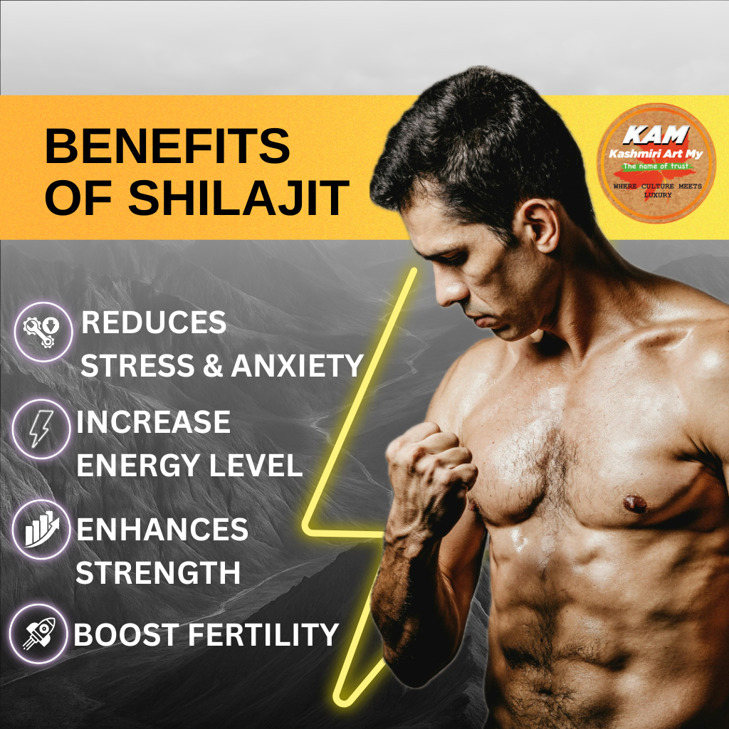 kashmiri ladakh shilajit Extract (60) capsules 1000MG